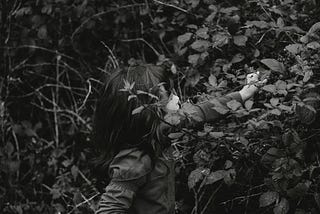 black and white photo showing a young girl reaching into a blackberry bush to pick the fruit