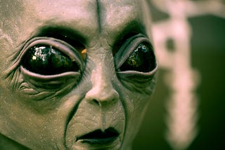The Tall Greys