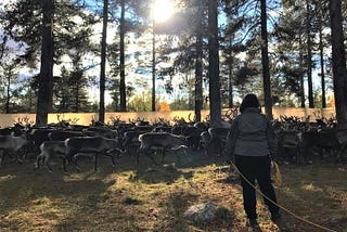 Holistic Landscapes: Protecting Sámi Land and Climate Justice — Teachings by Susanna Israelsson