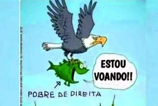 O Pobre de Direita: Um Voto Contra o Próprio Interesse?
