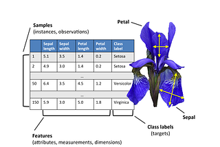 Exploratory Data Analysis: Uni-variate analysis of Iris Data set