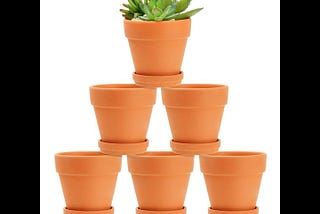 terracotta-pots-with-saucers-for-succulents-plants-flowers-4-in-6-pack-1