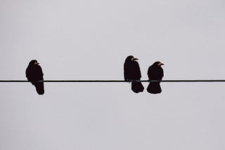 Three Crows on a Wire