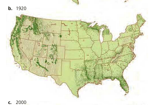 Weekly Blog for Class 10: The Importance of Biodiversity and How to Maintain it