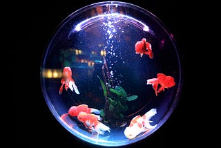 浪閱讀｜「重建事實，是不可能的。」——讀《無知》/米蘭・昆德拉