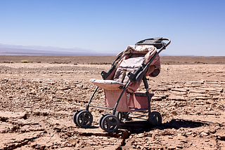How the Baby Bust Will Reshape the World