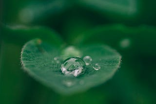 What is CBDa and Why Should I Care? — Planetarie