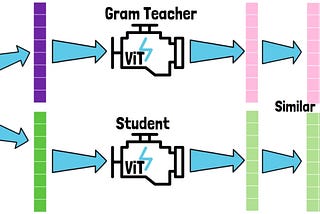 Gram Anchoring Training Illustration