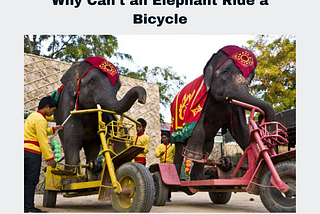 Why Can’t an Elephant Ride a Bicycle