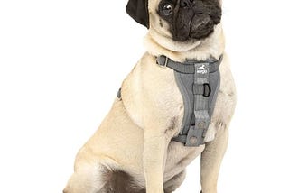 kurgo-tru-fit-enhanced-strength-dog-harness-crash-tested-car-safety-harness-for-dogs-no-pull-dog-har-1