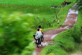 Buffaloes, Benches, and Bicycles: A Comedy of Errors