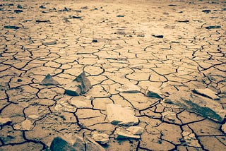 Why Corporate Farming Is Bad for Sindh
