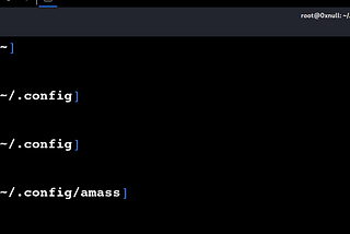 Unlocking the Full Potential of Amass [Part-1]