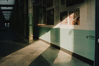 An empty abandoned hallway building, possibly a school. Pictures are on the brick wall. Light is streaming in unseen windows. A ceiling is half-lit with florescent lighting and it goes to a door in the far distance.