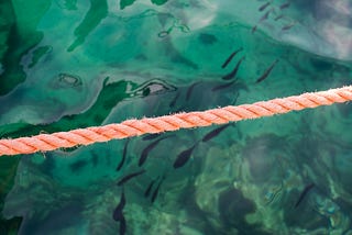 Tan colored rope over emerald green water