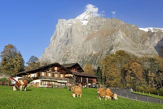 Top 4 Low-Cost Hotels in Zurich, Switzerland