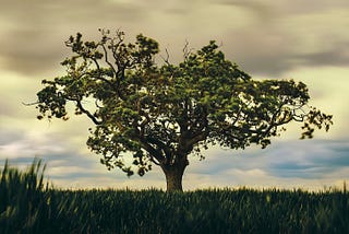 “Highest Possible Ambition” — A Climate Call to Action