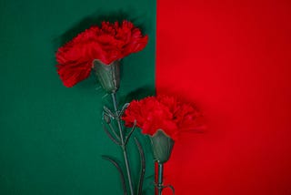 red carnations over the Portuguese flag red and green.