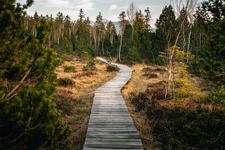 Journey to the Present: Exploring Mindful Walking