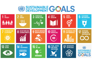 Role of Pluralism in advancing the 2030 Sustainable Development Goals