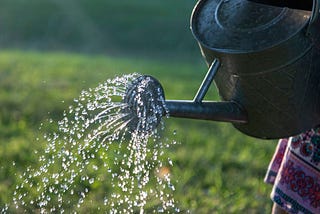 Water pours from a can over green grass