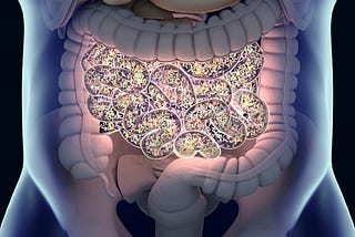 4 Reasons Why Gut Microbiota can be Your Friends with Benefits