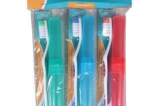 toothbrushes-with-travel-cases-3-ct-packs-at-dollar-tree-1