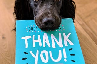 The Most Effective Way To Thank Your Loved Ones Revealed