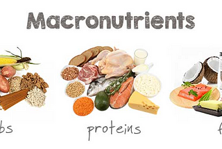 Macronutrients and portion sizes: The low down