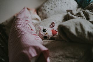 a frightened looking soft toy, tucked up in bed.