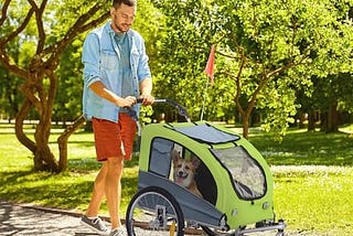 aosom-dog-bike-trailer-2-in-1-pet-stroller-with-canopy-and-storage-pockets-green-1