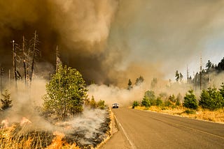 We DID start the fire. Sicily suffers after wildfire.