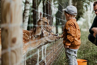 I Almost Abandoned a Crying Baby at the Zoo