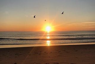 An Unusual Beach Story