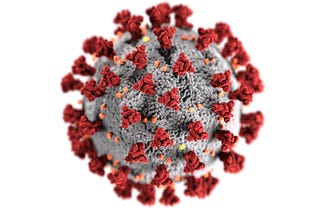 Lessons learned fighting the COVID pandemic