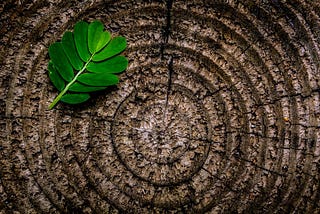 Rings in a Tree
