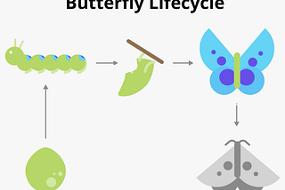Activity Lifecycle Android