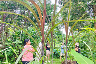 Playful Presence: Rounding off the year with placemaking and movement