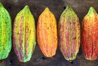 The Cornerstone of Cacao