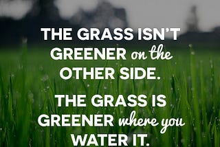 Image of grass with the words, “The grass isn’t greener on the other side. The grass is greener where you water it”.