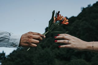 The Many Faces of Romance