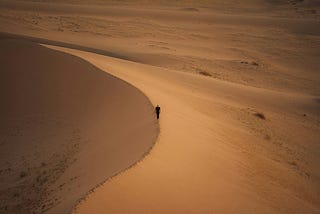 an image of a person walking alone on a dune