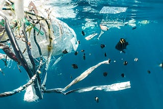 The Problem With Plastic Pollution–Waste Management Levels