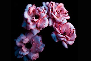 What I Learned At My Mother’s Funeral