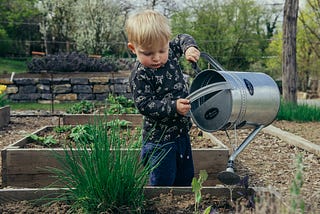 Grow Big In Small Spaces