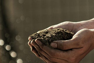 How Can I Contribute to Mother Earth