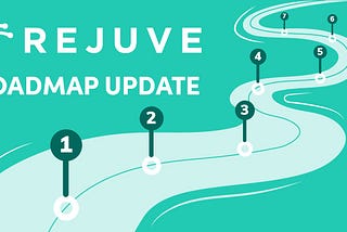 Rejuve Roadmap Phase 2 🚀 Mid-2021 Progress Report — Part 4