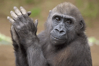 Apes vs. Whales: What About Those Numbers?