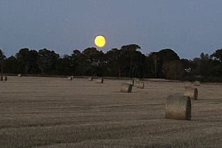 Beautiful harvest moon