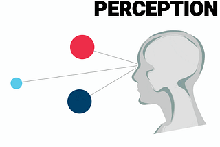 PERCEPTION